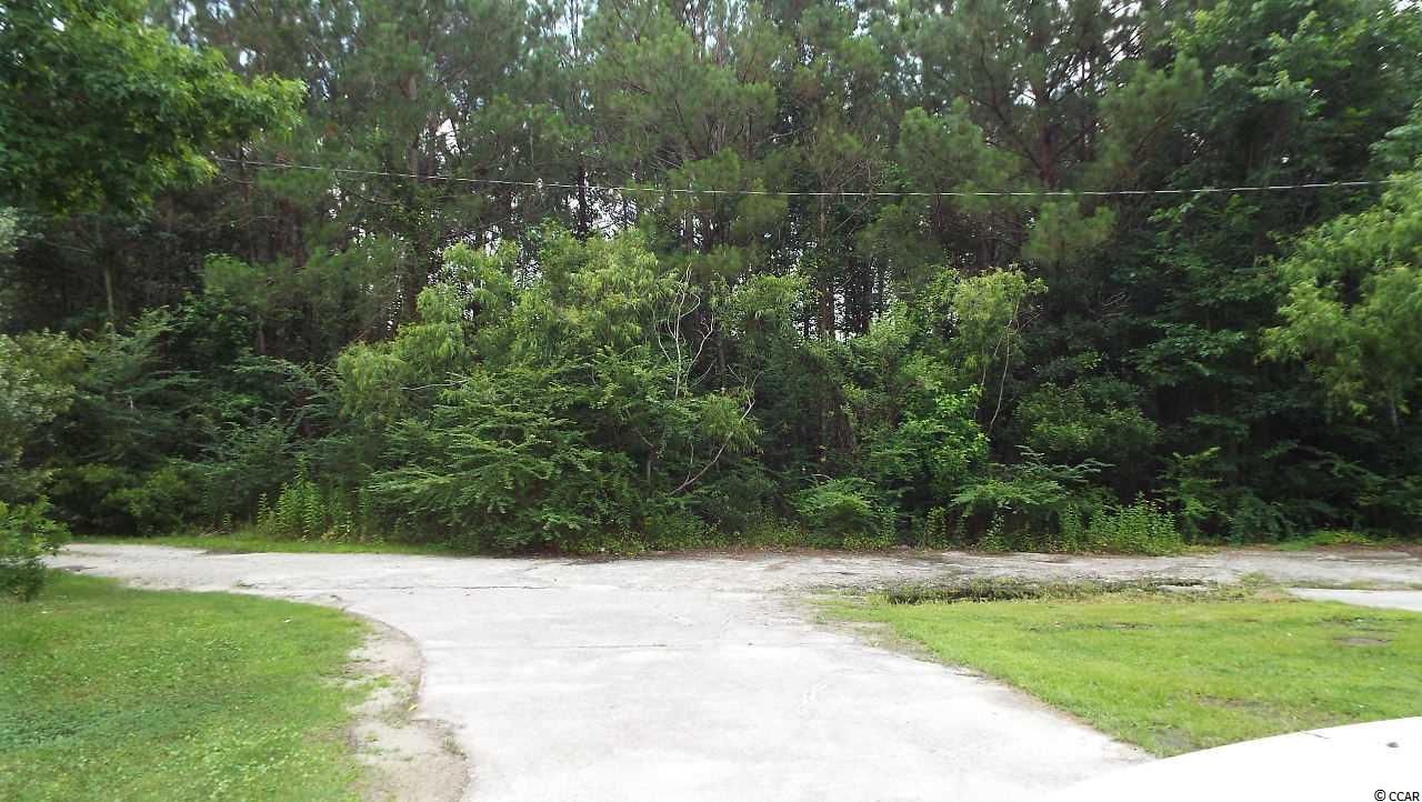 10160 Freewoods Road Myrtle Beach, SC 29588 - Photo 22 of 22 Gallery Image 22