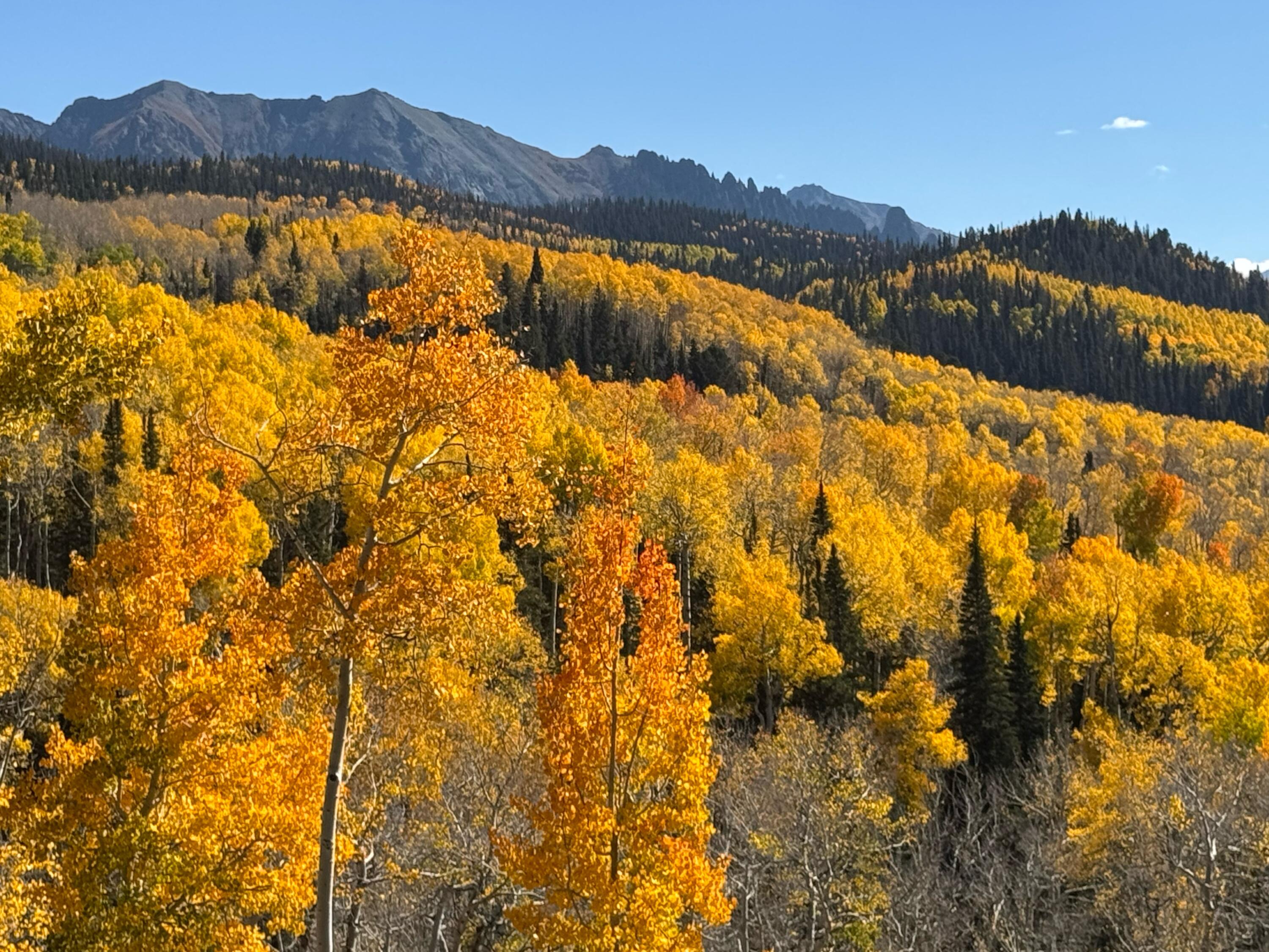 Tbd Saddle Horn Lane Telluride, CO 81435 - Photo 6 of 9 a view of lake and mountain