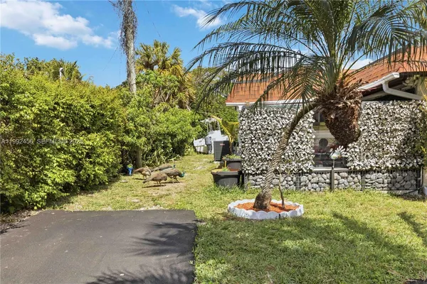 a view of a yard with plants