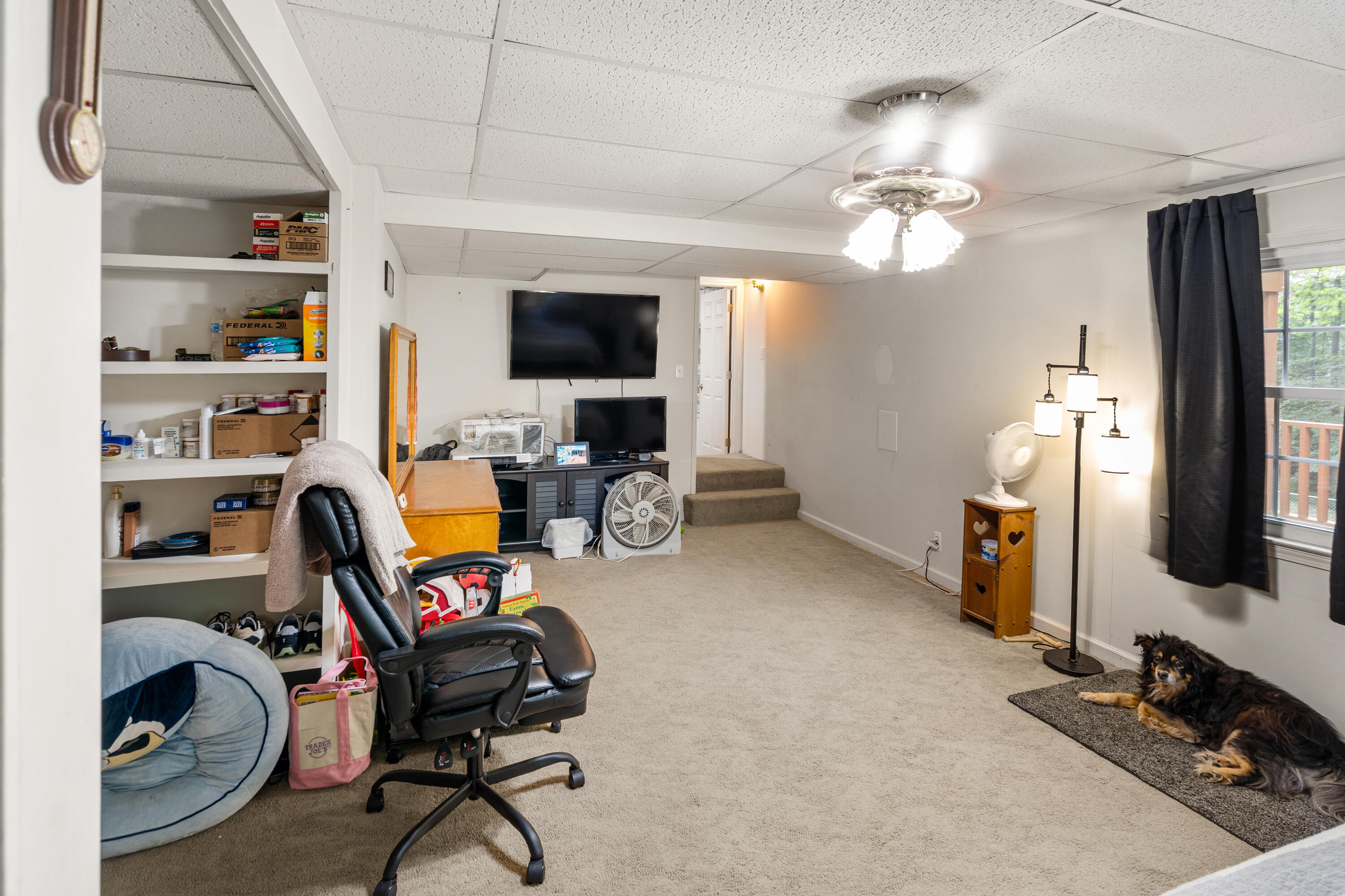 245 Vista View Lane Ridgeway, VA 24148 - Photo 47 of 62 DSC00222