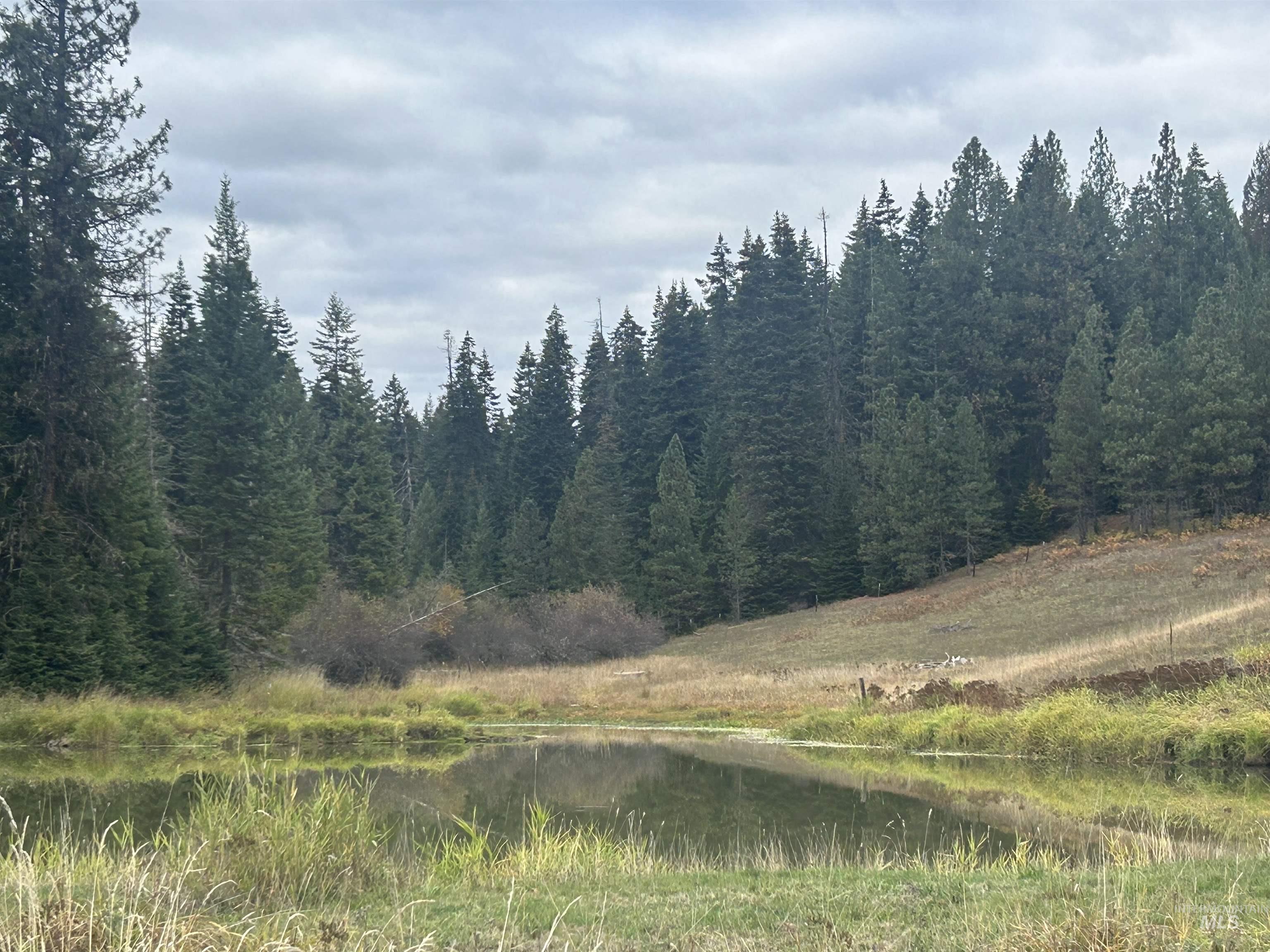 View of the lot from Glenwood Road across the neighboring lot. Pond not on subject property.