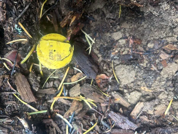 $145,000 | Tbd Lot 1 Tbd Road, Kamiah, ID 83536