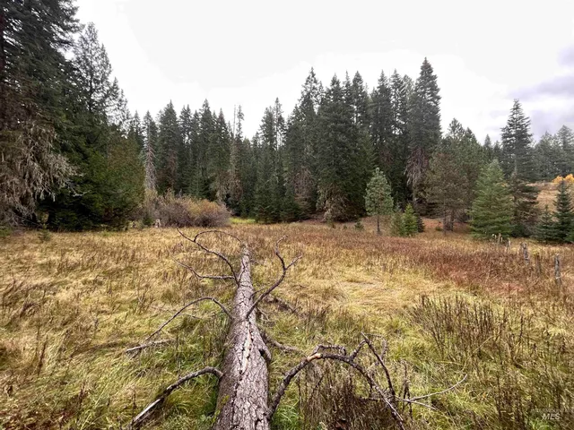 $145,000 | Tbd Lot 1 Tbd Road, Kamiah, ID 83536