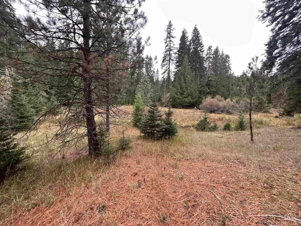 $145,000 | Tbd Lot 1 Tbd Road, Kamiah, ID 83536