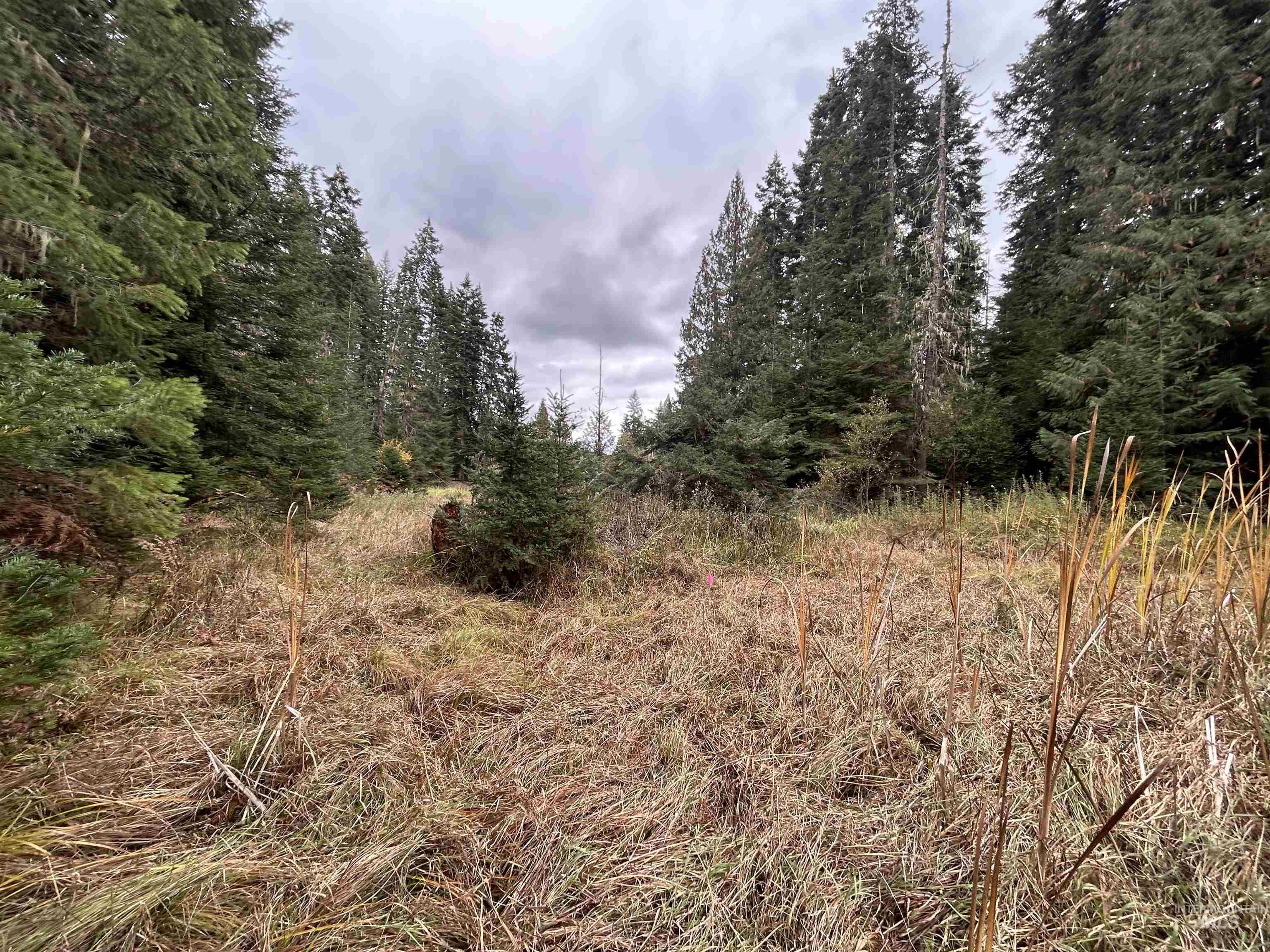 Tbd Lot 1 Tbd Road Kamiah, ID 83536 - Photo 14 of 16