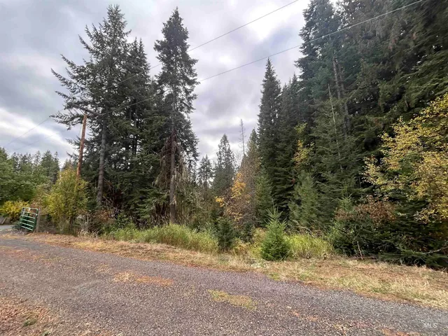 $145,000 | Tbd Lot 1 Tbd Road, Kamiah, ID 83536