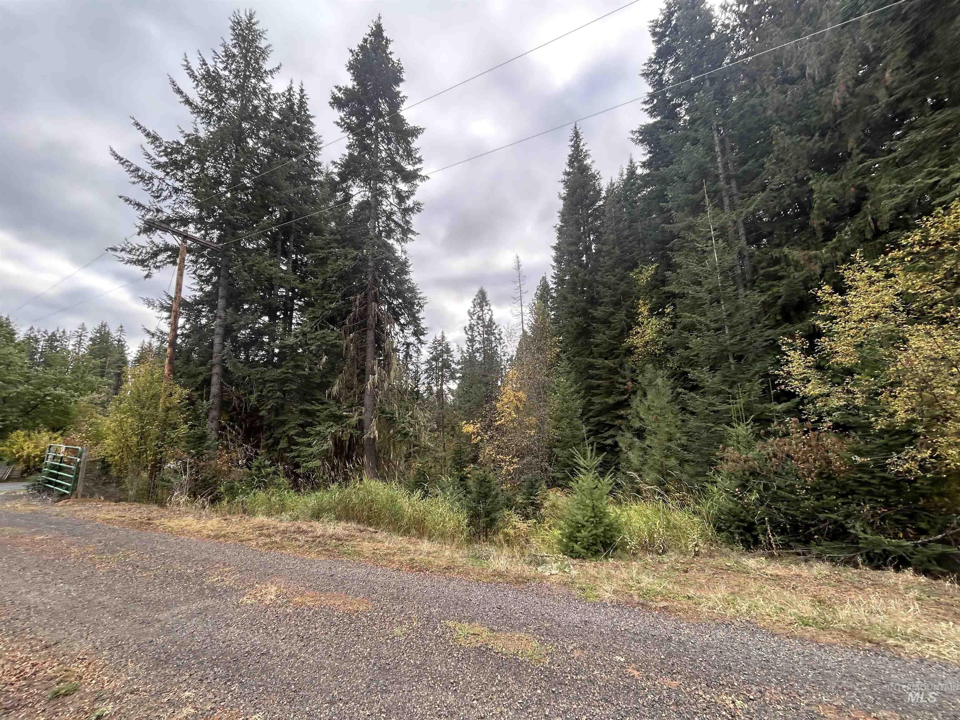 Tbd Lot 1 Tbd Road Kamiah, ID 83536 - Photo 15 of 16