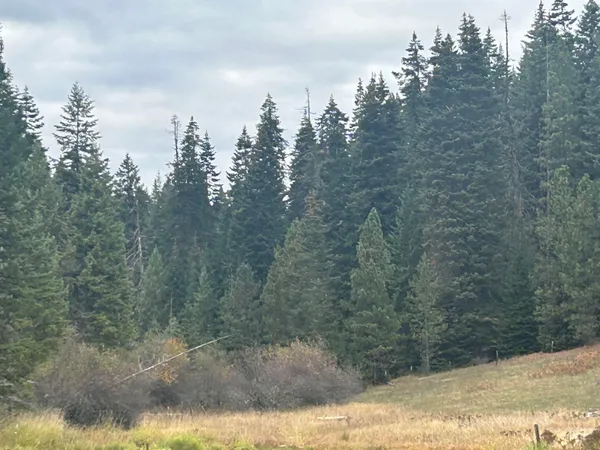 $145,000 | Tbd Lot 1 Tbd Road, Kamiah, ID 83536