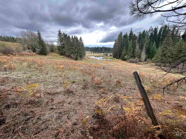 $145,000 | Tbd Lot 1 Tbd Road, Kamiah, ID 83536