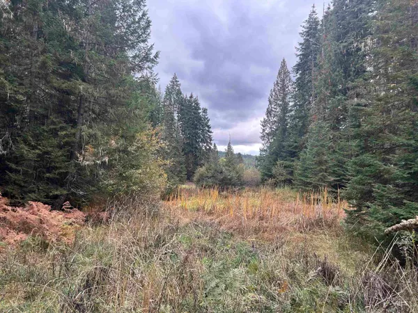 $145,000 | Tbd Lot 1 Tbd Road, Kamiah, ID 83536