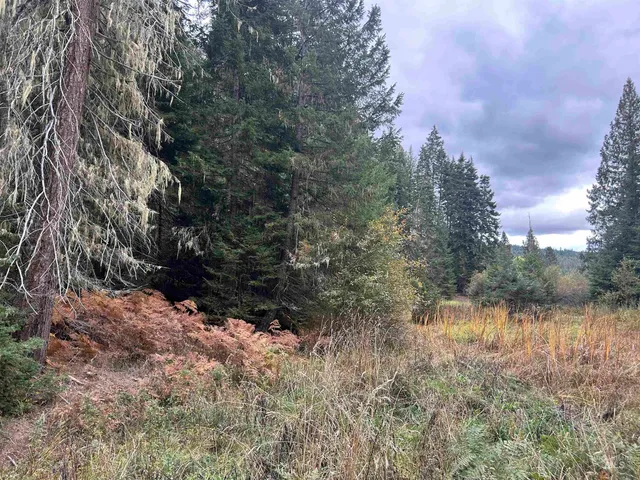 $145,000 | Tbd Lot 1 Tbd Road, Kamiah, ID 83536