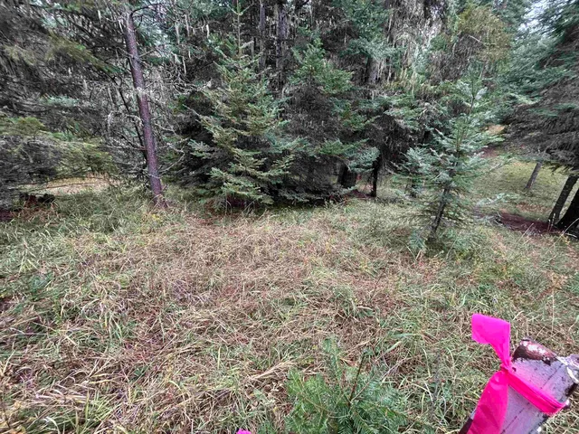 $145,000 | Tbd Lot 1 Tbd Road, Kamiah, ID 83536