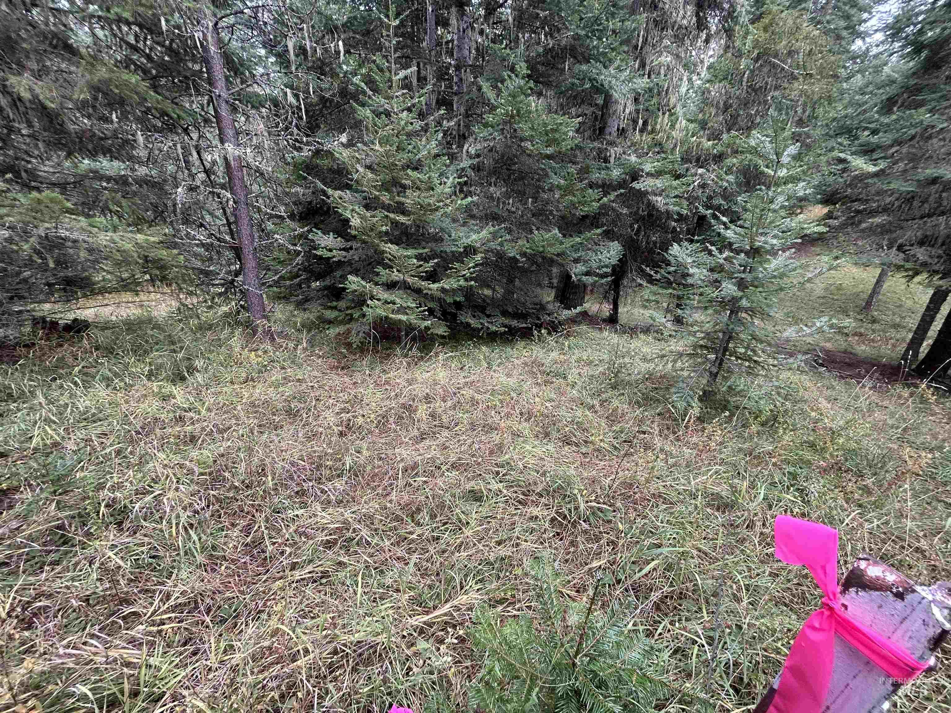 Tbd Lot 1 Tbd Road Kamiah, ID 83536 - Photo 8 of 16