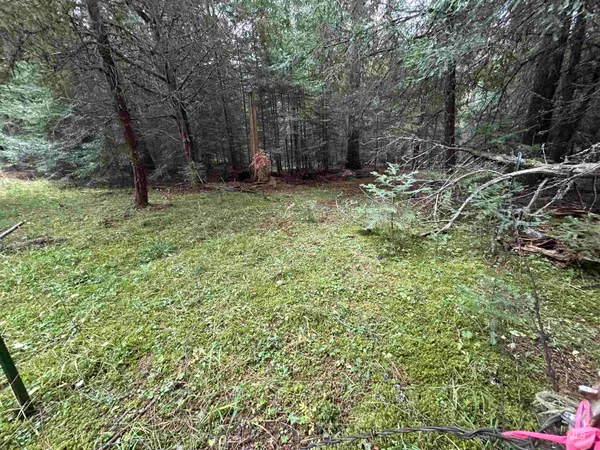 $145,000 | Tbd Lot 1 Tbd Road, Kamiah, ID 83536