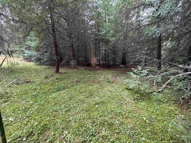 $145,000 | Tbd Lot 1 Tbd Road, Kamiah, ID 83536