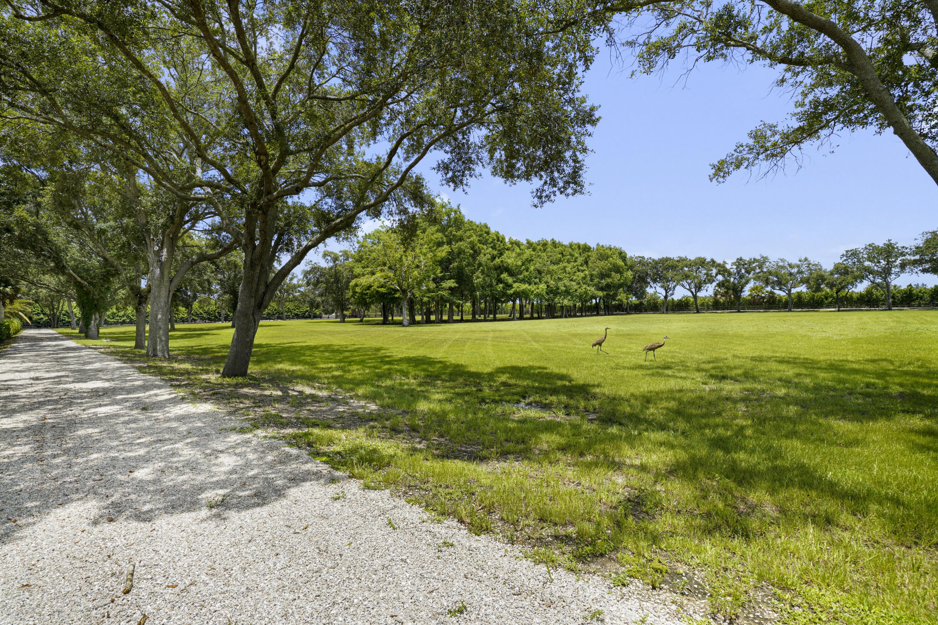 16451 Norris Road Wellington, FL 33470 - Photo 69 of 91 16451 Norris Rd 087a