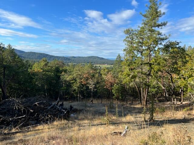 1663 Southside Road, Unit 205 Grants Pass, OR 97527 - Photo 9 of 9 Fabulous view property