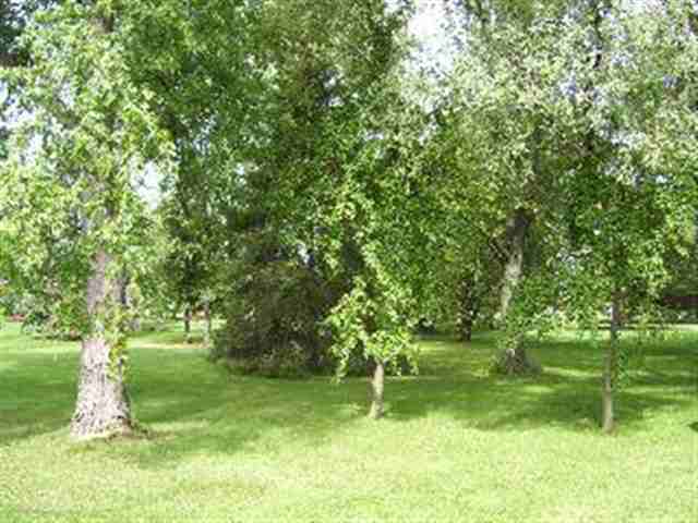790 East Erie Road Temperance, MI 48182 - Photo 2 of 2 171321-1.JPG