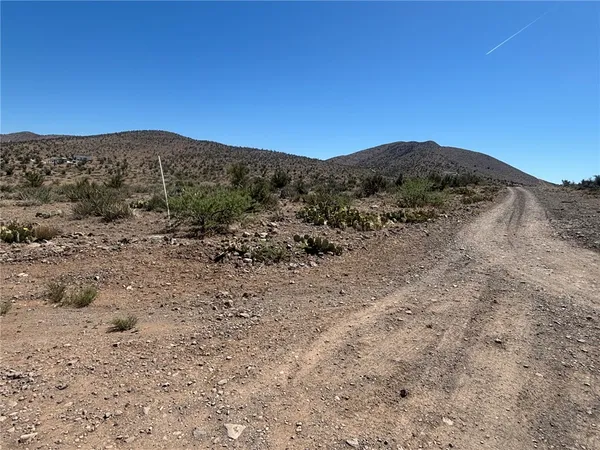a view of a dry yard