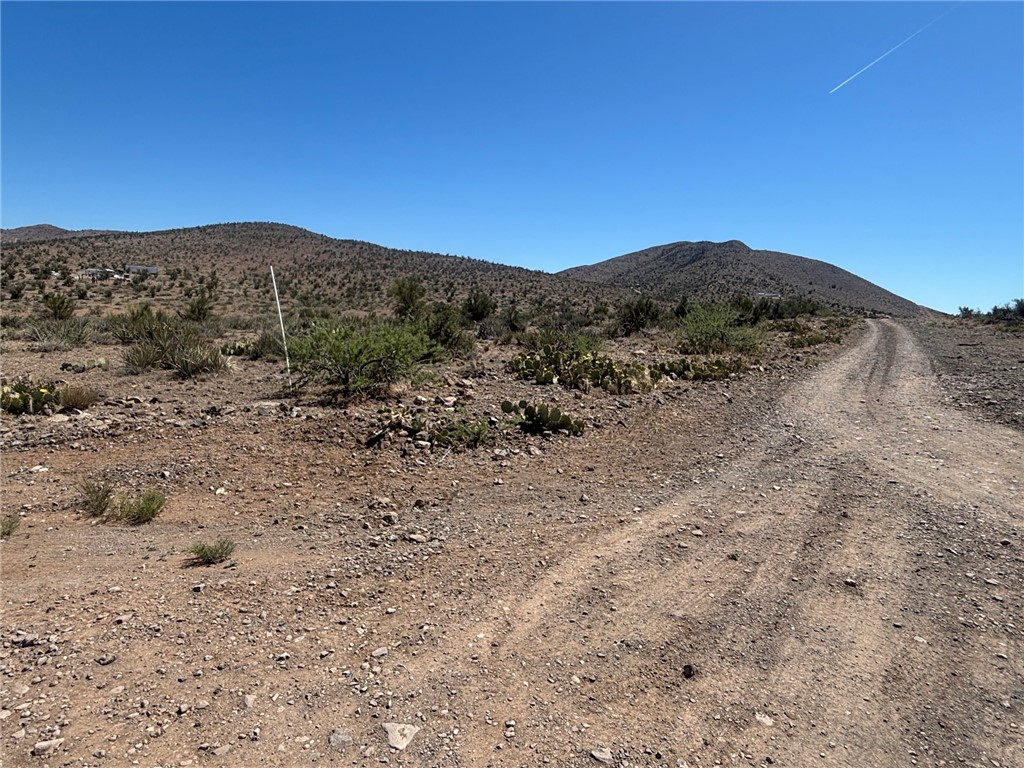 a view of a dry yard