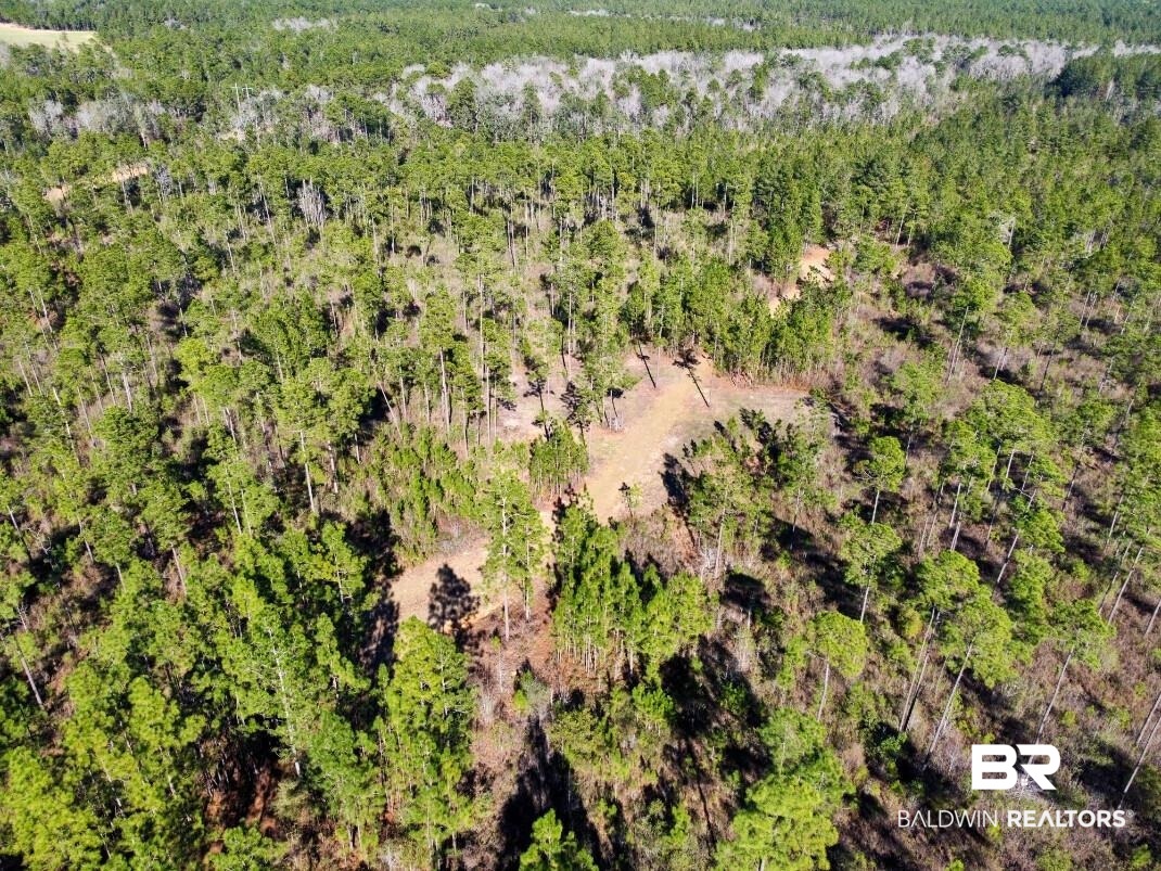 White Road Bay Minette, AL 36507 - Photo 12 of 32 Aerial view with a forest view