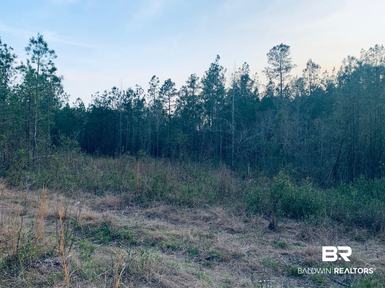 23180 Lonnie Hadley Road Perdido, AL 36562 - Photo 1 of 11 Gallery Image 1