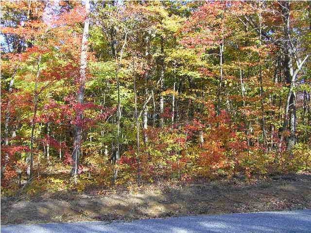 15 Wolf Pen Road Dunlap, TN 37327 - Photo 6 of 9 Additional Photo