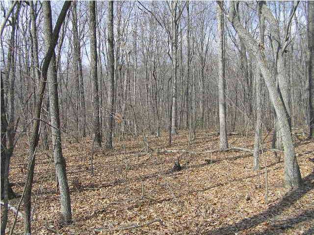 15 Wolf Pen Road Dunlap, TN 37327 - Photo 8 of 9 Additional Photo