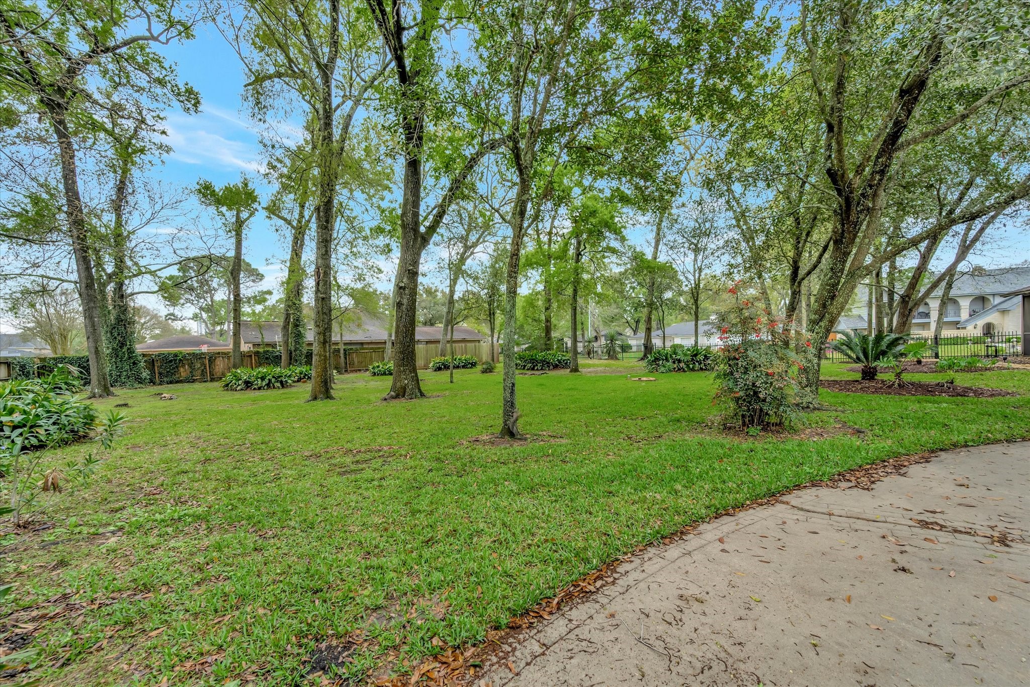 822 Devonport Lane Seabrook, TX 77586 - Photo 6 of 50 a garden with trees in the background