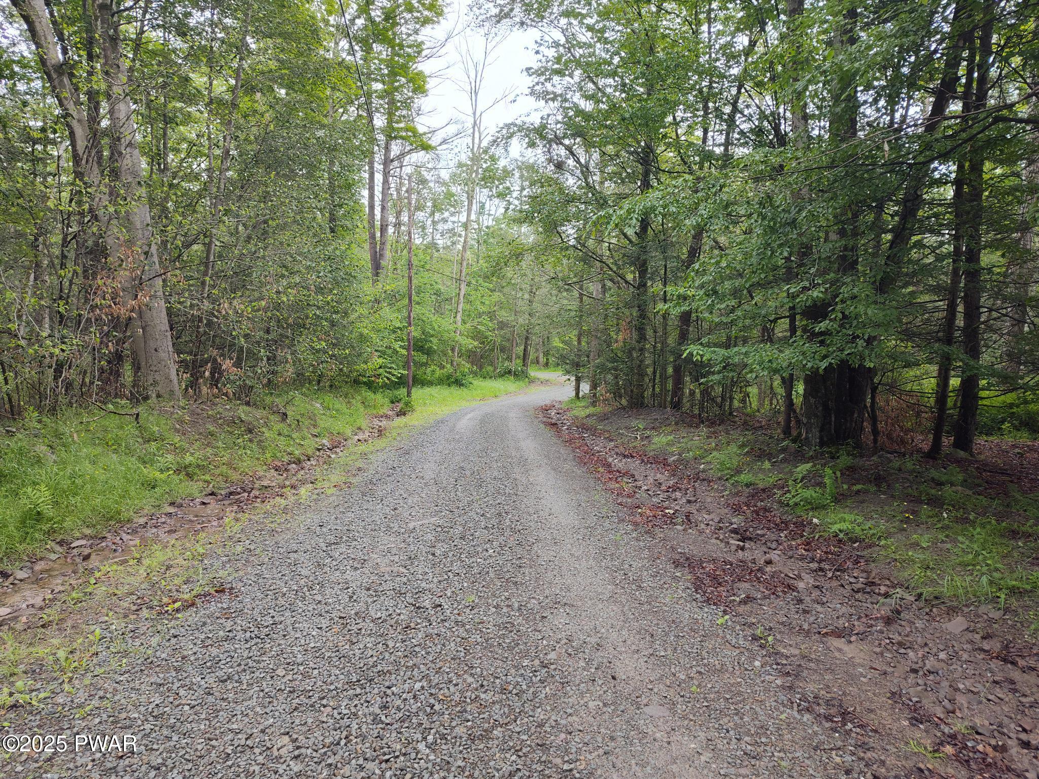 Lot 109 Aka) Gibralter Road Newfoundland, PA 18445 - Photo 3 of 19