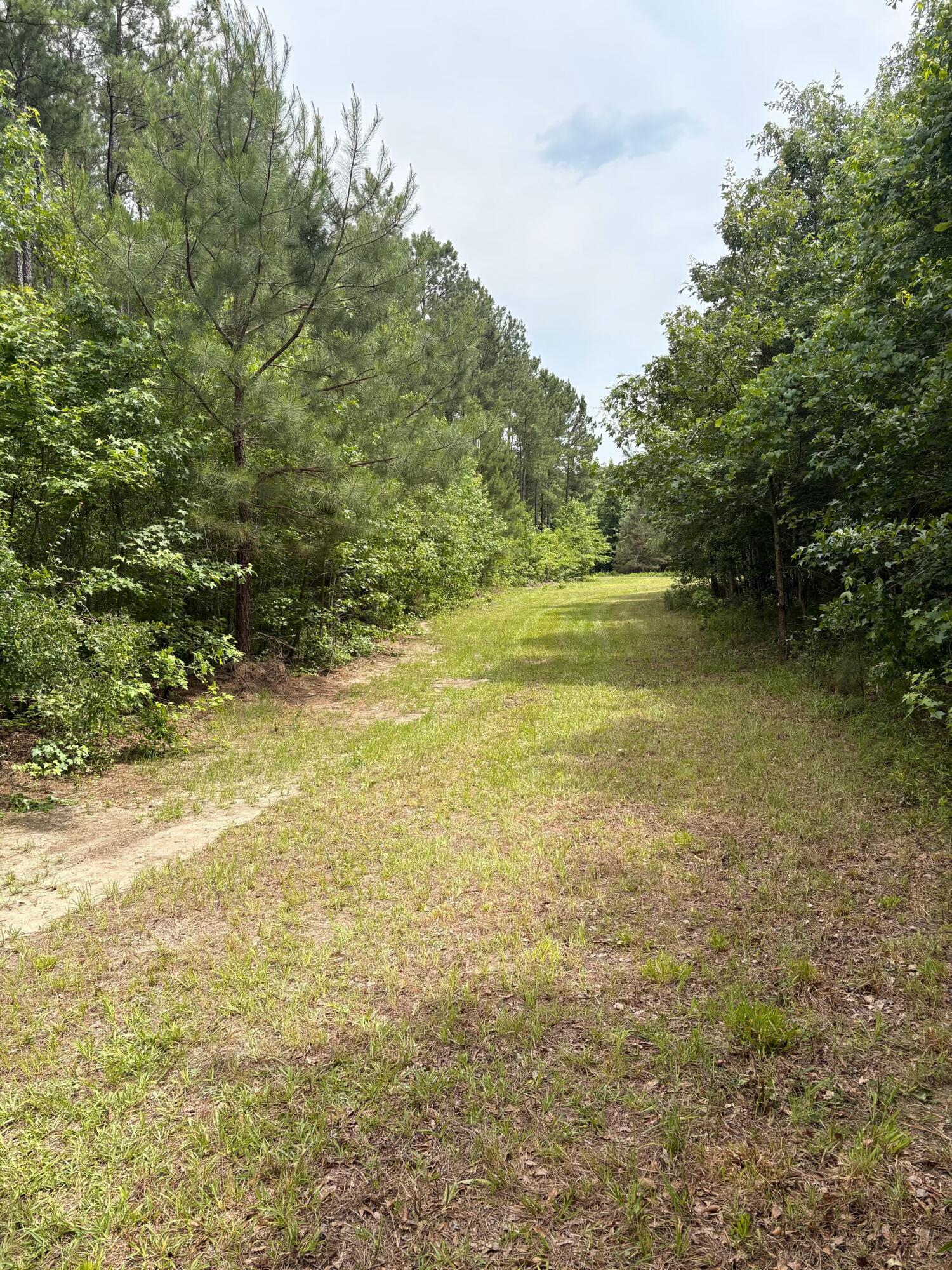 0 Cade Road Lake City, SC 29560 - Photo 5 of 5 IMG_20260608_113000