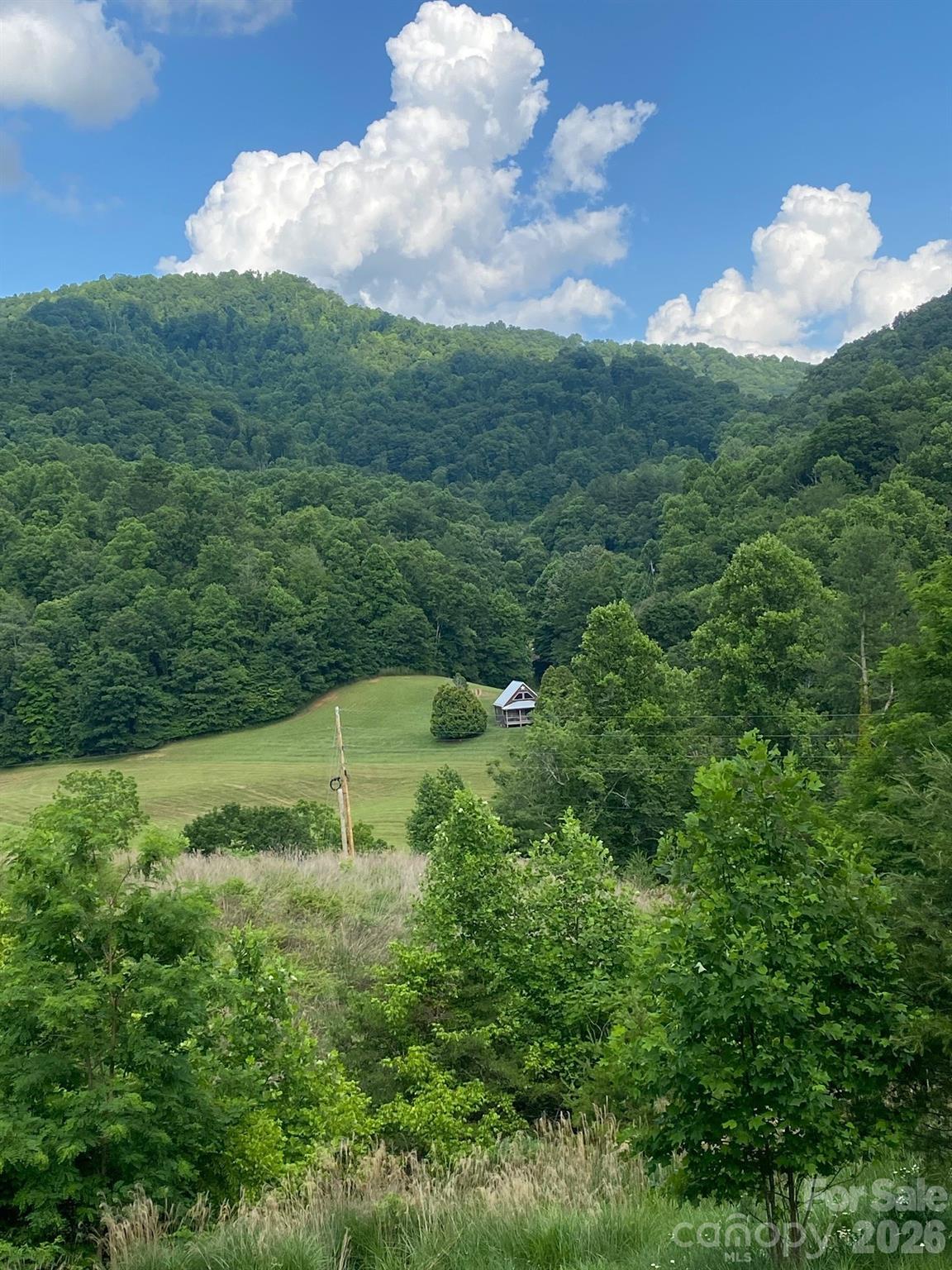 0 East Fork Road Marshall, NC 28753 - Photo 14 of 22