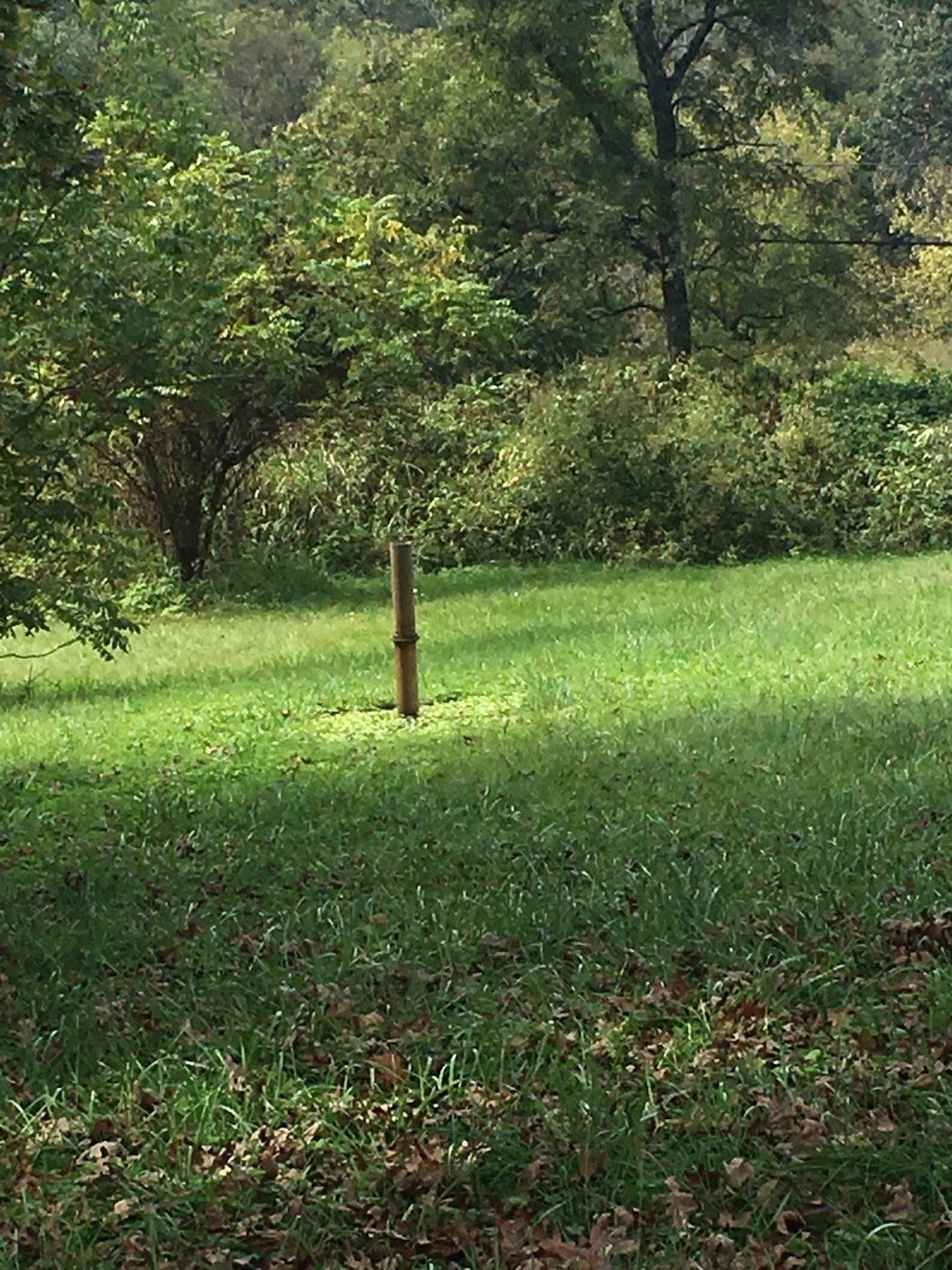2315 Chrisman Mill Road Nicholasville, KY 40356 - Photo 7 of 23 Old merry go round pole