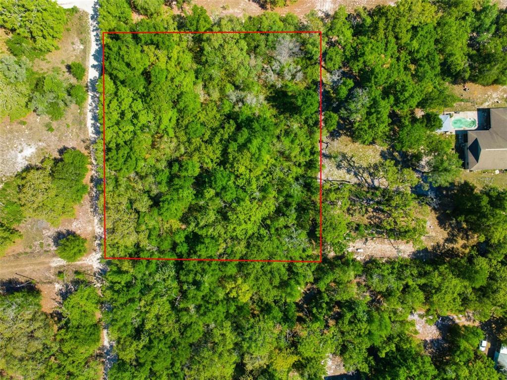 0 Coyote Road Hudson, FL 34669 - Photo 3 of 13