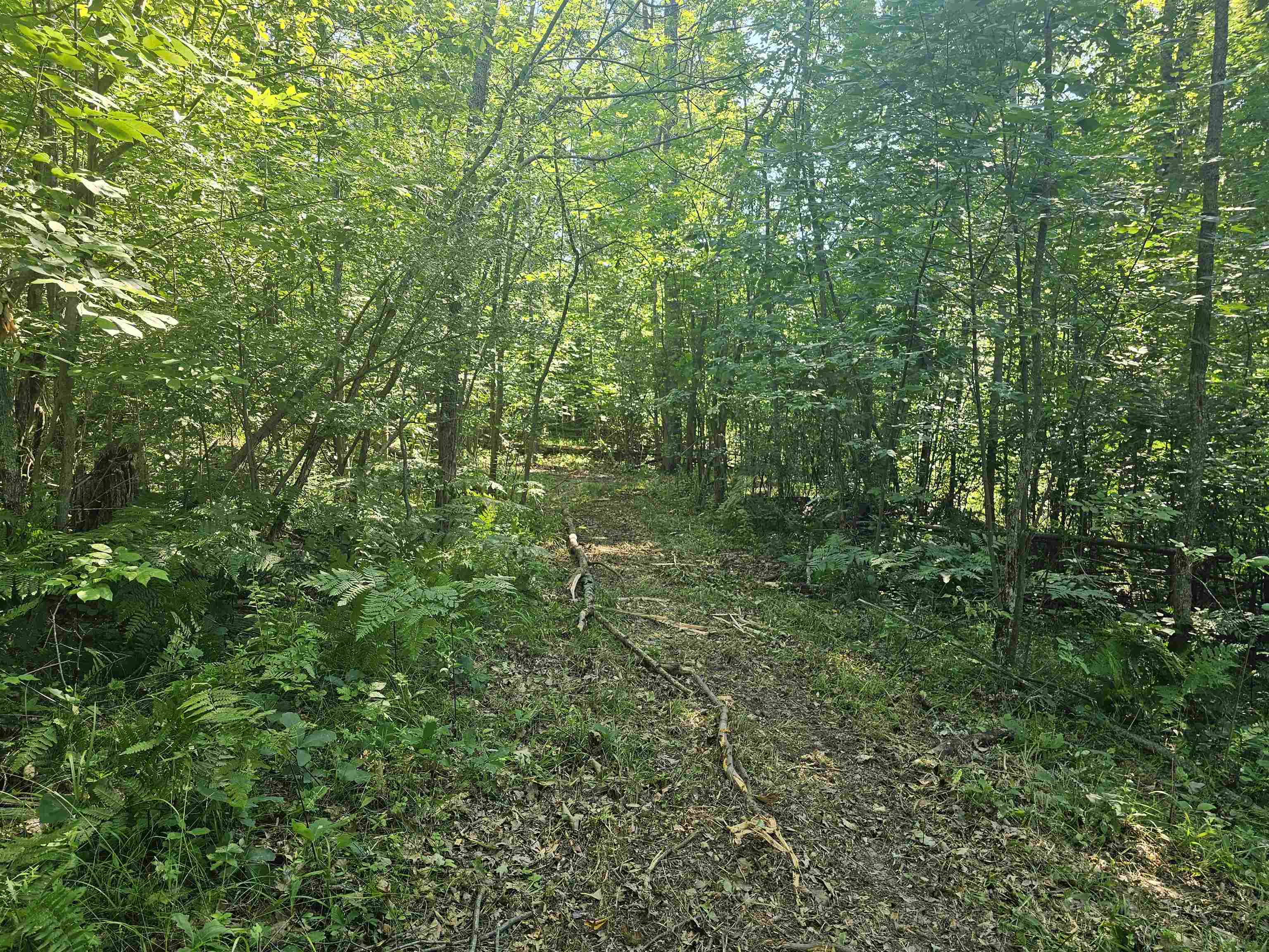 0 Barber Road Hale, MI 48739 - Photo 22 of 34