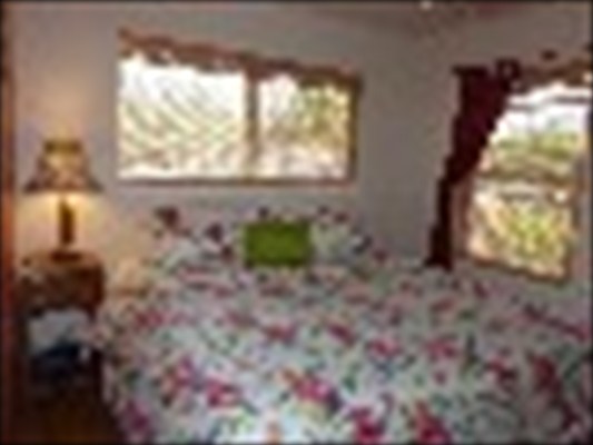 8325 Elepaio Road Kekaha, HI 96752 - Photo 9 of 10 a view of yard