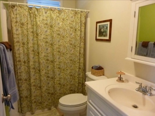 8325 Elepaio Road Kekaha, HI 96752 - Photo 10 of 10 a bathroom with a sink and a mirror