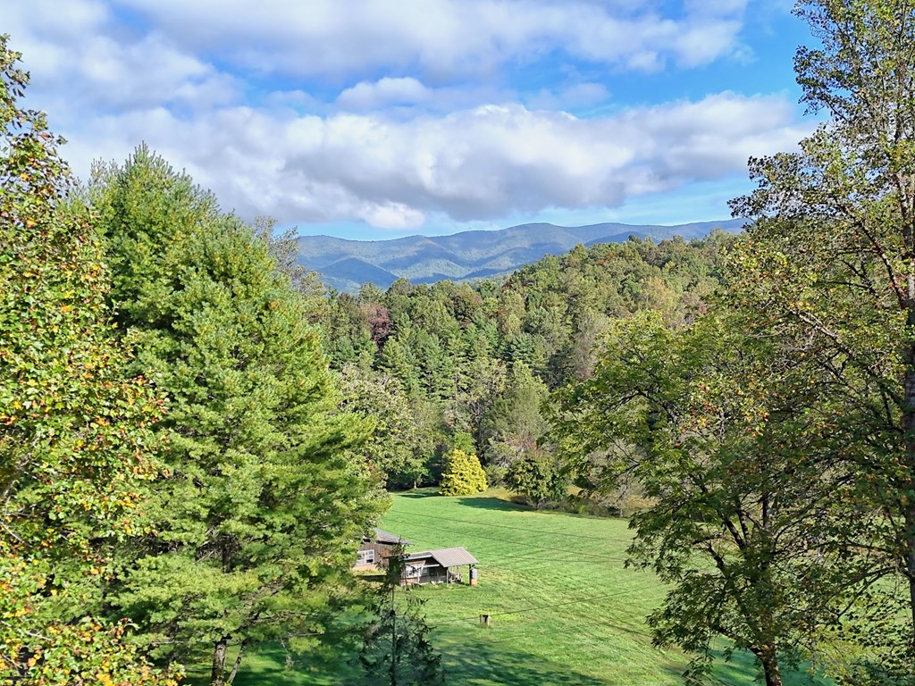 206 Peckerwood Road Hayesville, NC 28904 - Photo 6 of 73 a view of a yard with an trees