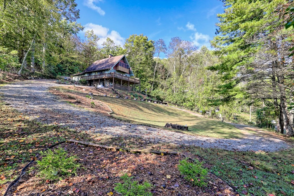206 Peckerwood Road Hayesville, NC 28904 - Photo 70 of 73 a view of a yard with an trees