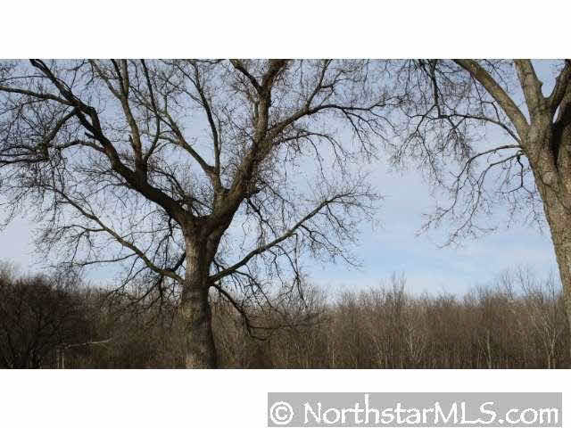 10475 Yorktown Lane North Maple Grove, MN 55369 - Photo 8 of 10