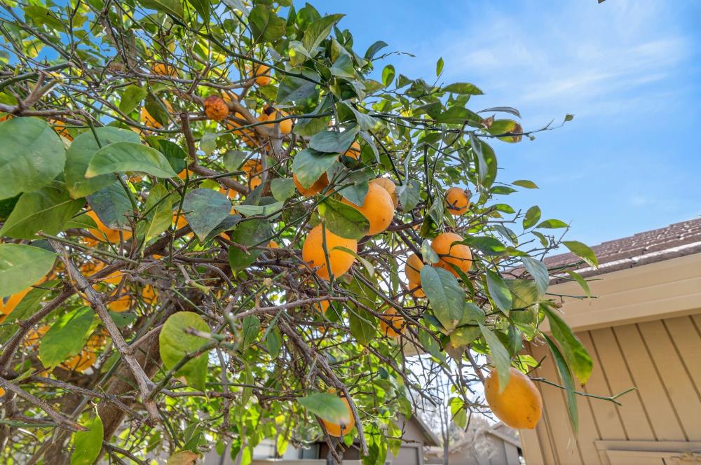 2129 Promontory Point Lane Rancho Cordova, CA 95670 - Photo 48 of 64