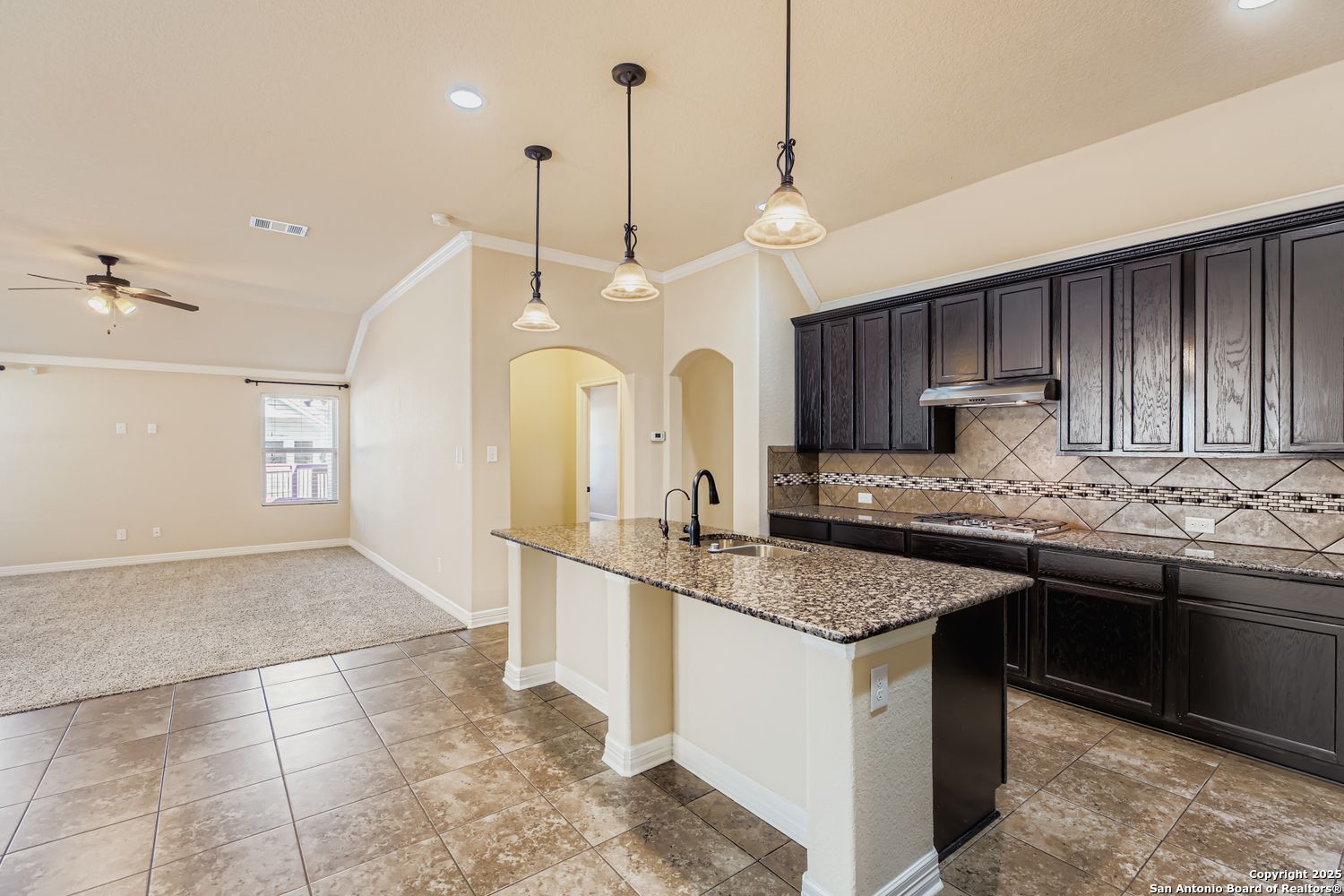 17820 Oxford Mount Helotes, TX 78023 - Photo 9 of 26 a kitchen with a sink a counter space appliances and cabinets