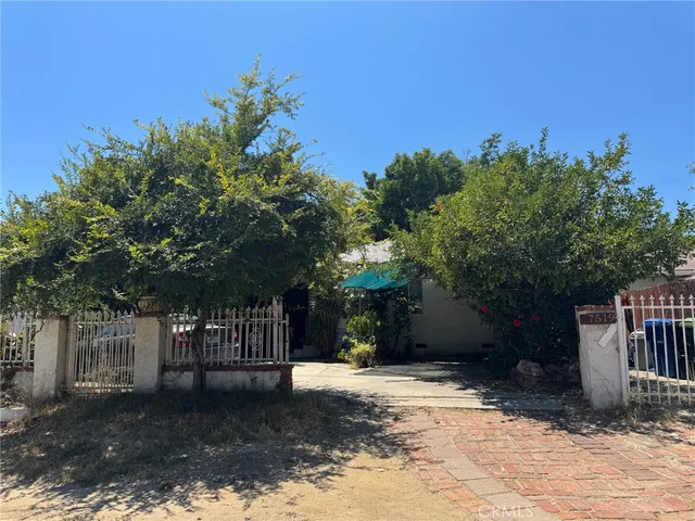 a view of a yard with plants and a trees