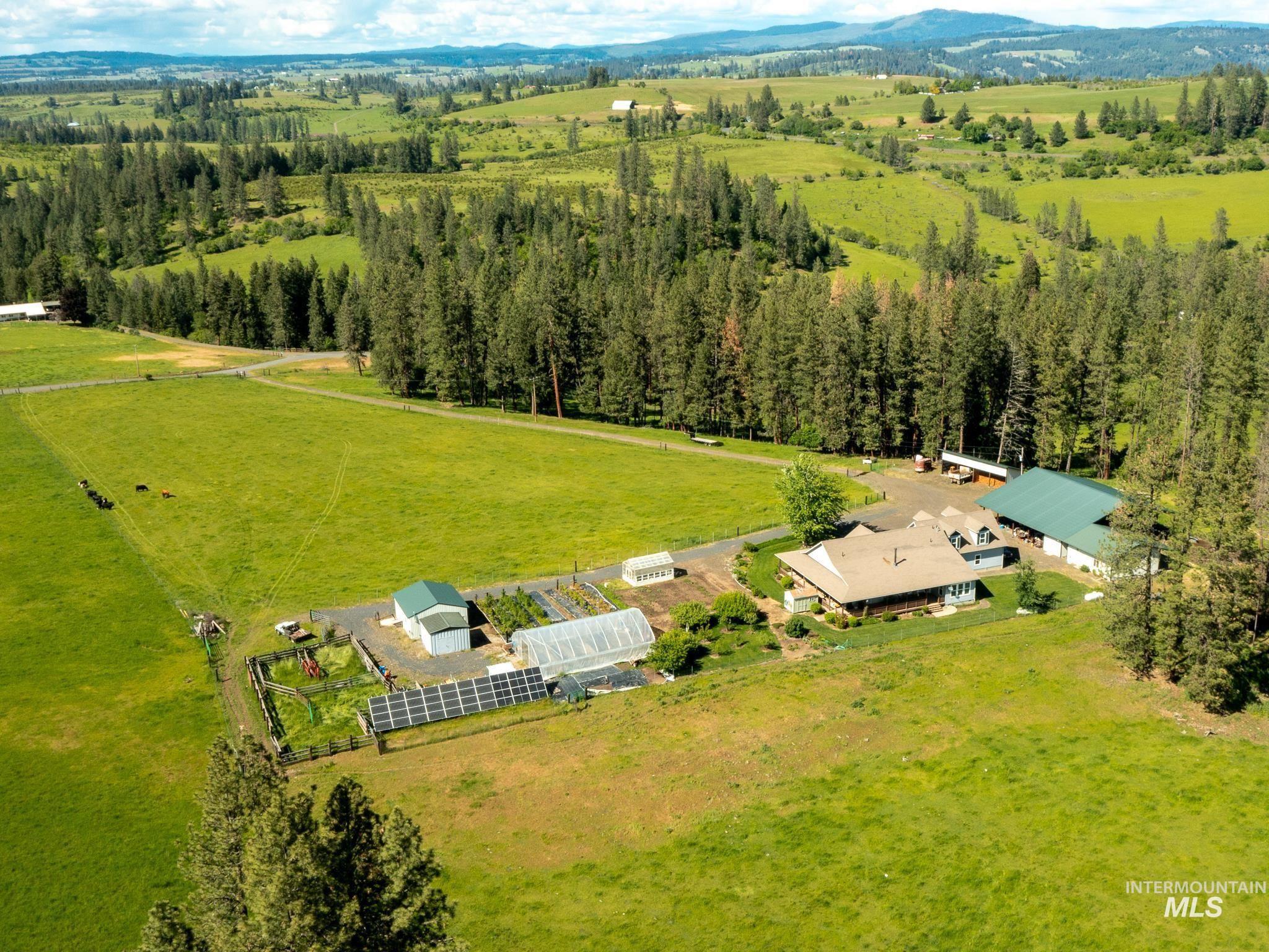 794 Pleasant Valley Road Stites, ID 83552 - Photo 8 of 50 Gallery Image 8