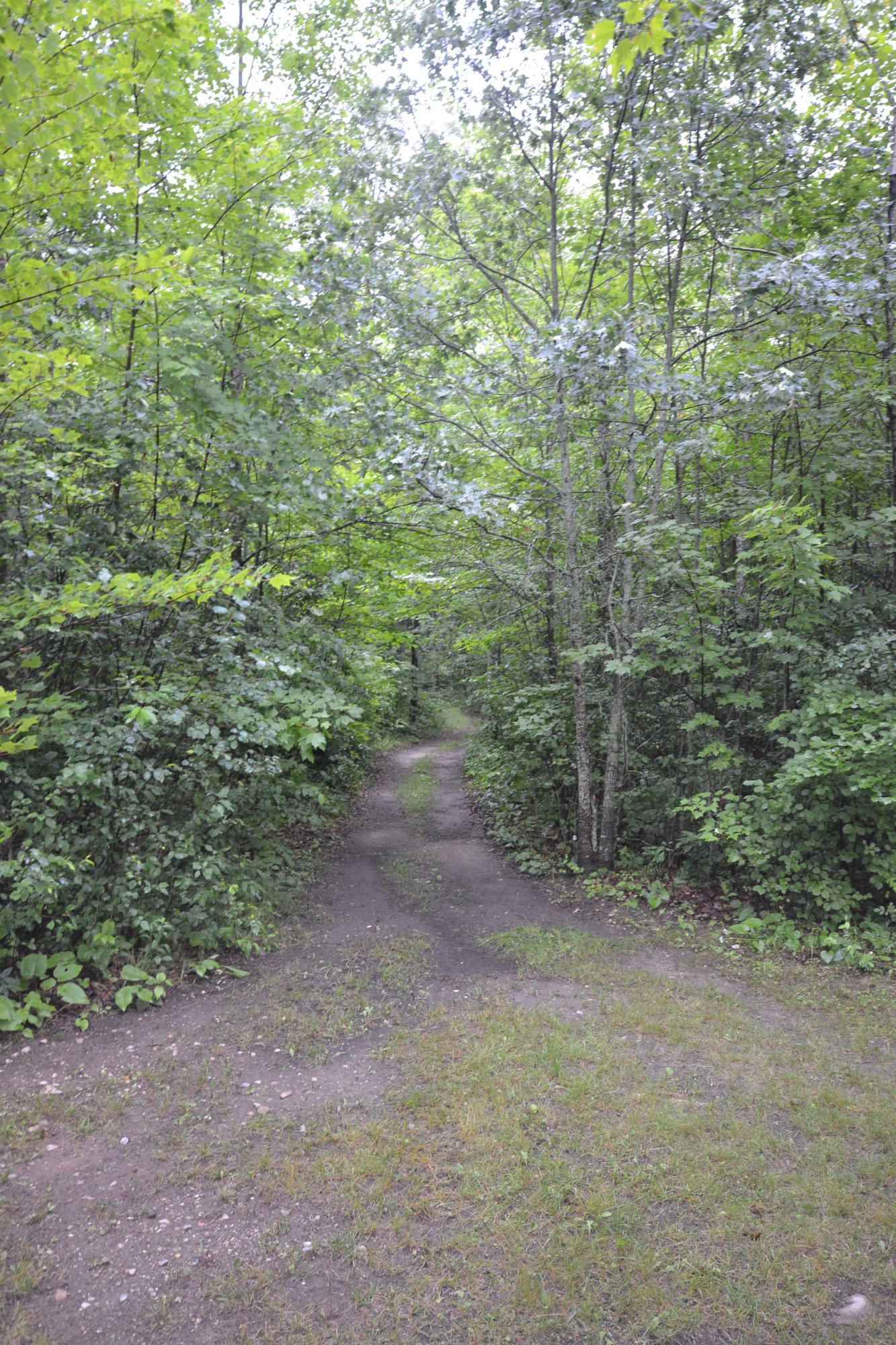 2655 Ann Arbor Road Lewiston, MI 49756 - Photo 18 of 19 Gallery Image 18