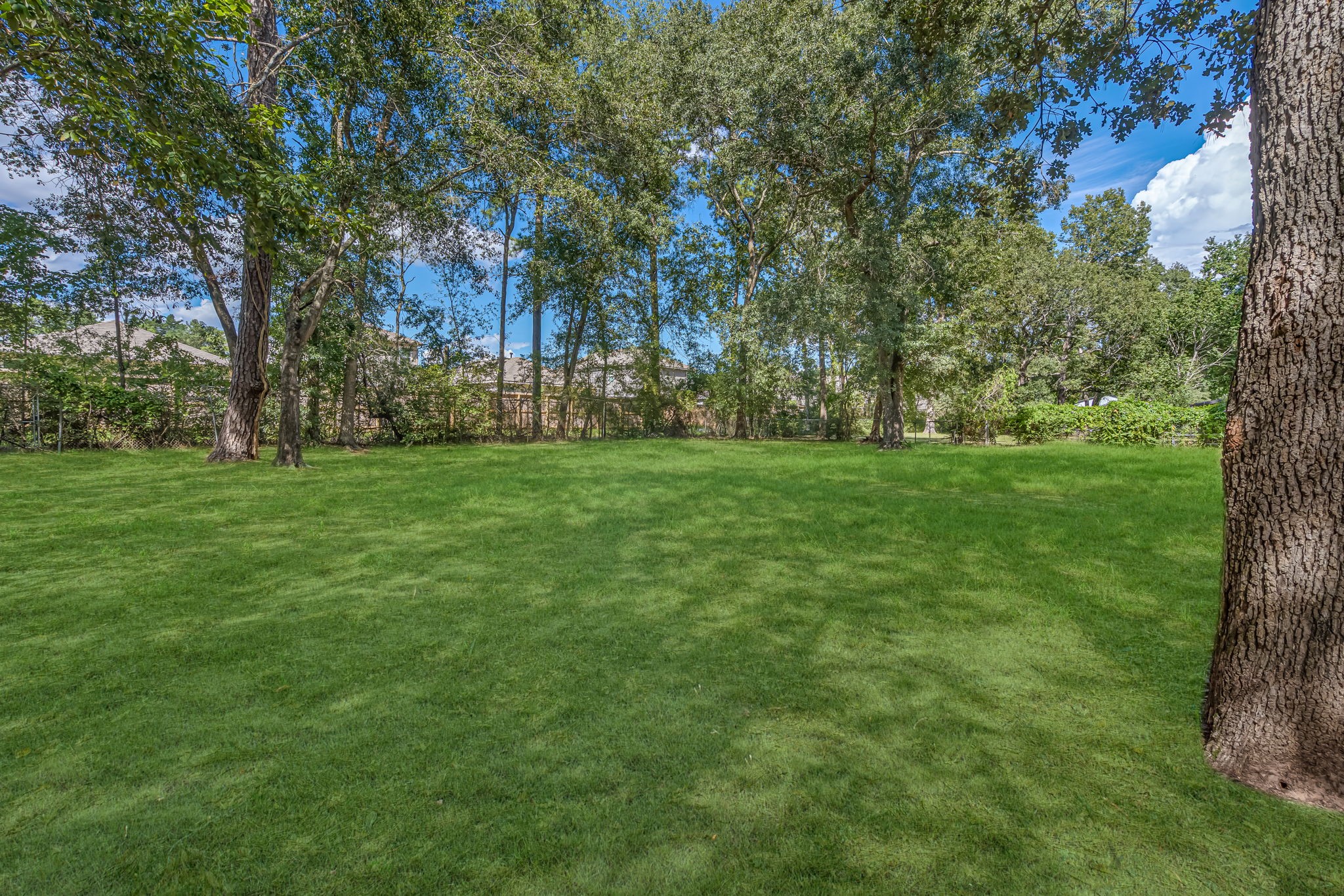 3699 Piney Point Road Conroe, TX 77301 - Photo 29 of 29