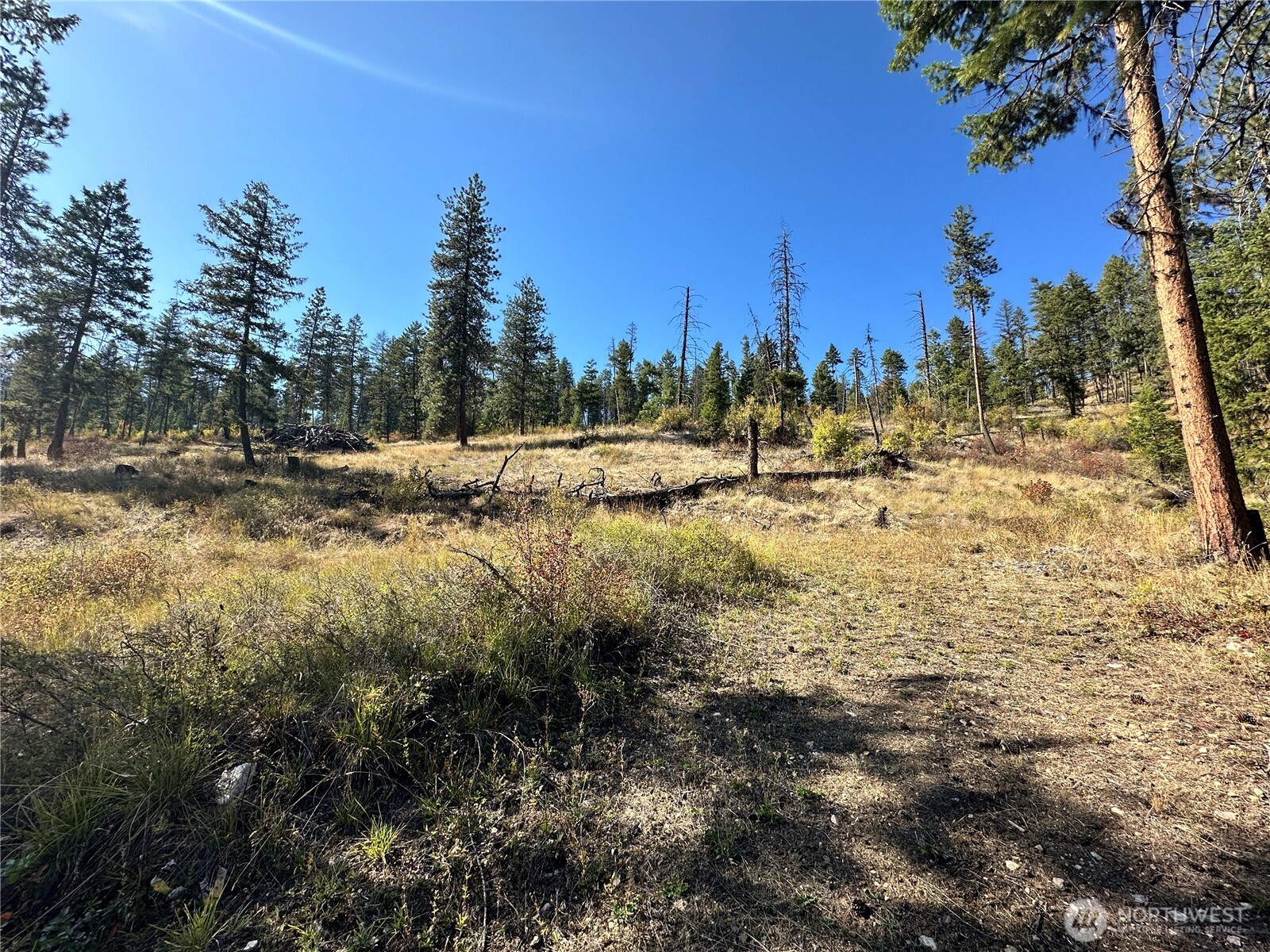 3 Deadman Creek Road Kettle Falls, WA 99141 - Photo 12 of 24 Gallery Image 12