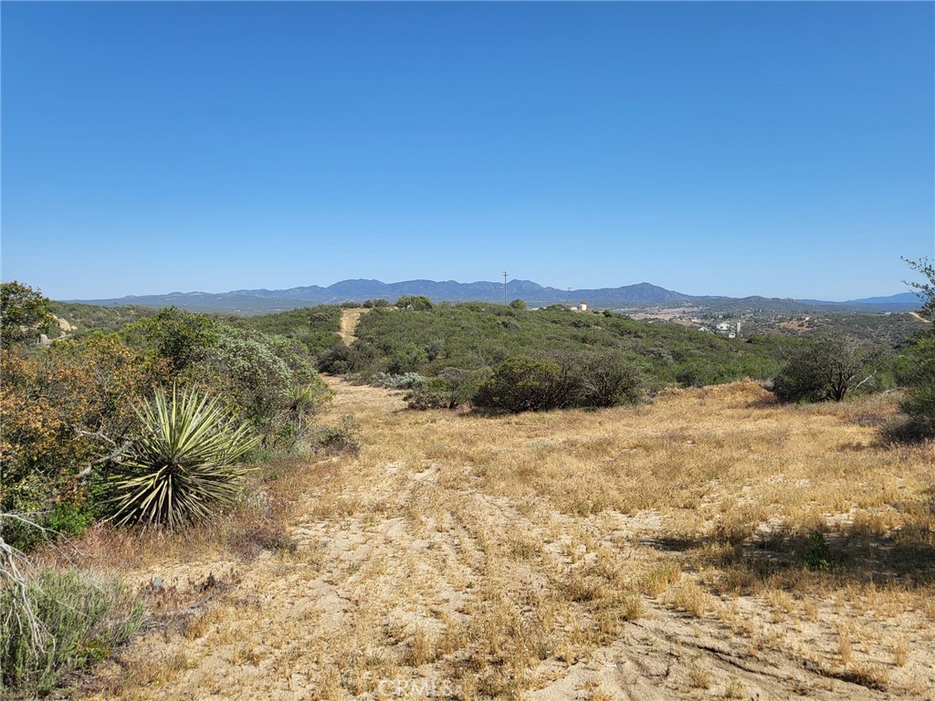 887 Forest Springs Road Aguanga, CA 92536 - Photo 18 of 35 a view of an outdoor space and a yard