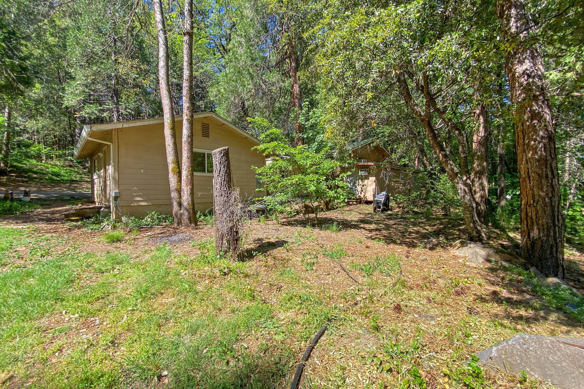 30303 Oak Run To Fern Road Whitmore, CA 96096 - Photo 43 of 75 a backyard of a house with plants and large trees