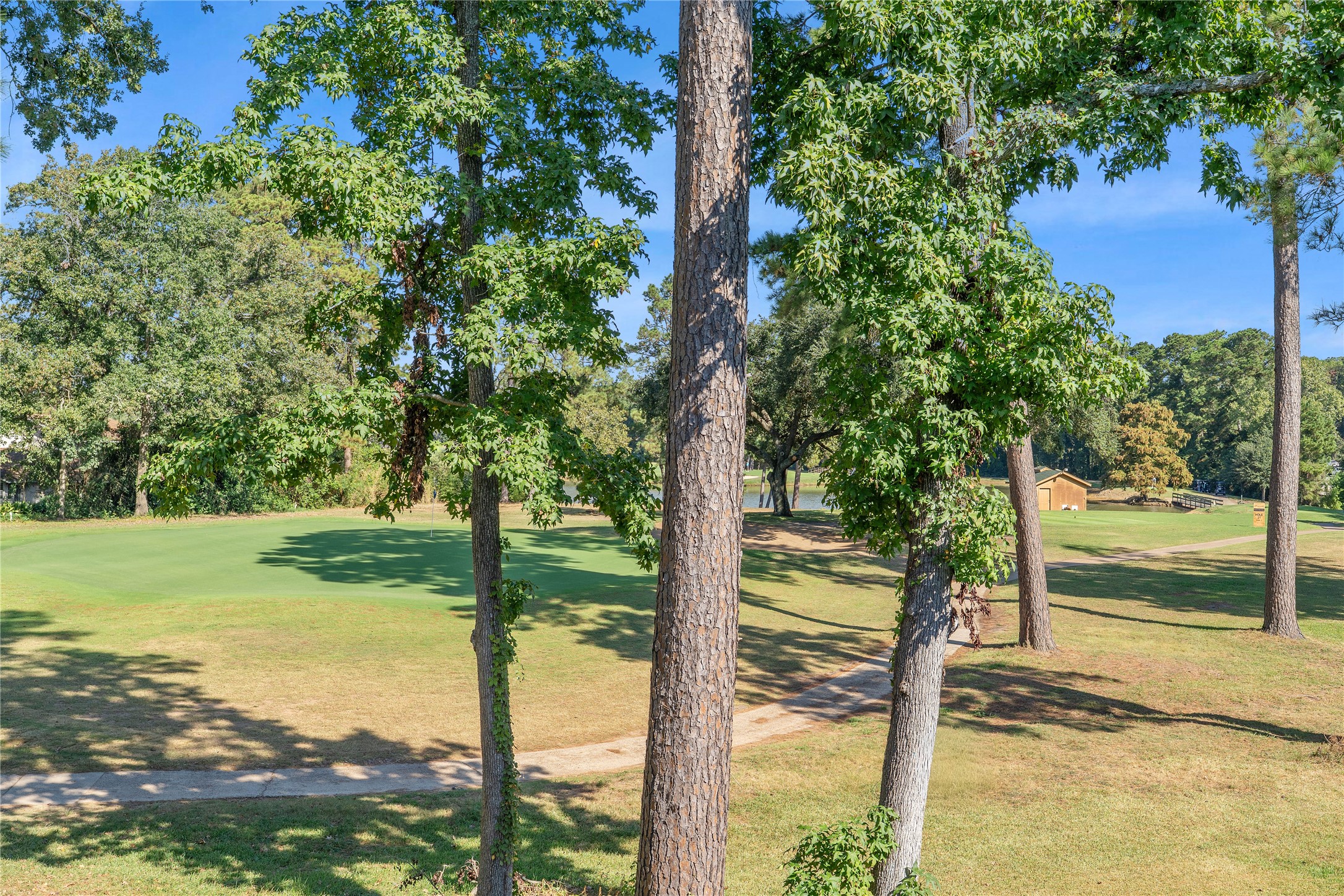 200 Panorama Drive, Unit 107 Conroe, TX 77304 - Photo 29 of 32 a view of a yard from a tree